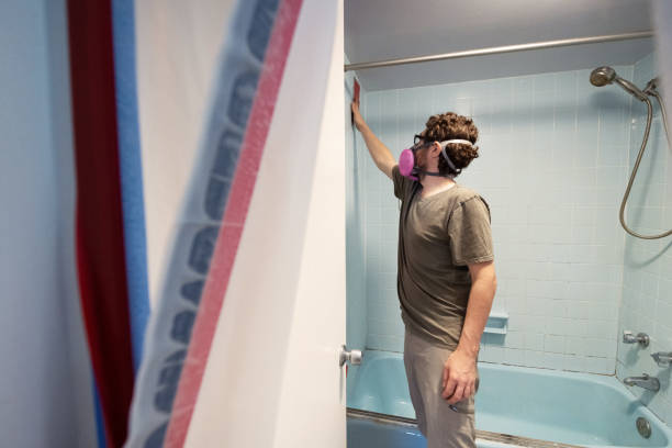 Best Mold Prevention Services  in Continental, OH